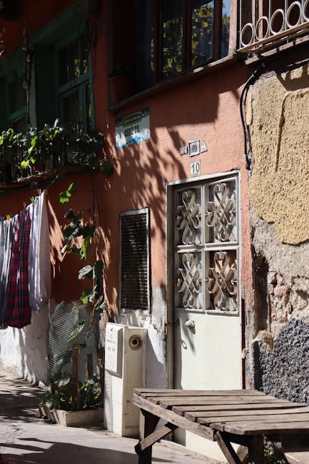 Income and expense analytical charts